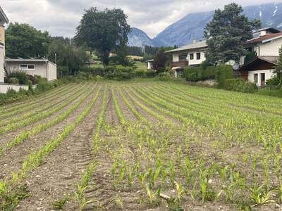 Haus kaufen in 6161 Natters (Bild 3)