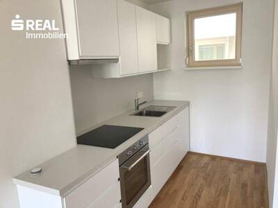 Terrassenwohnung mieten in 2340 Mödling (Bild 4)