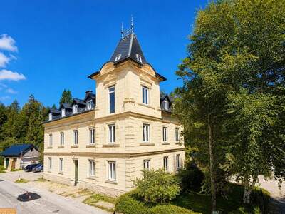 Altbauwohnung mit Balkon kaufen in 8990 Bad Aussee (Bild 5)