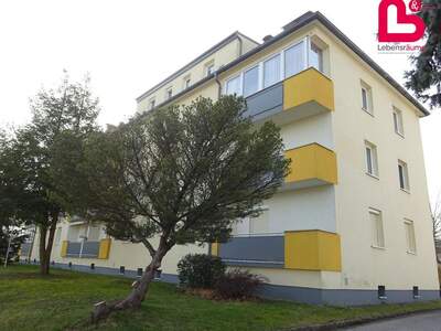 Apartment provisionsfrei mieten in 4501 Oberösterreich