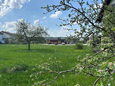 Grundstück kaufen in 5231 Schalchen (Bild 1)