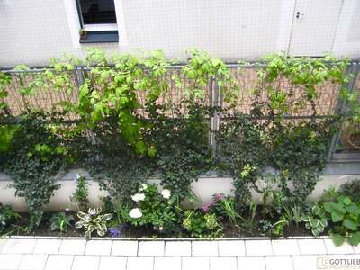 Anlageobjekt kaufen in 1090 Wien (Bild 1)