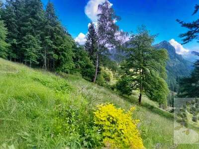 Grundstück kaufen in 9521 Treffen