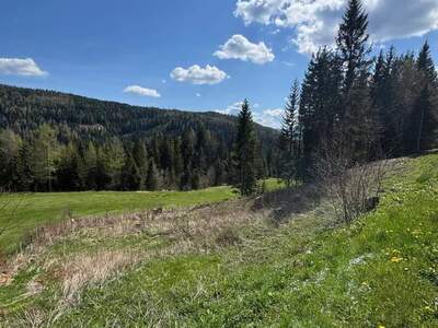 Grundstück kaufen in 8831 Schönberg