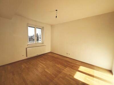 Terrassenwohnung mieten in 3140 Pottenbrunn (Bild 5)