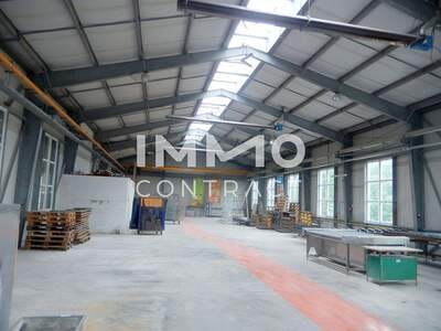 Gewerbeobjekt mieten in 3322 Viehdorf (Bild 3)