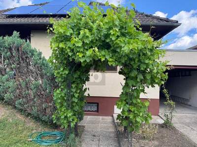 Haus mit Garten mieten in 2201 Gerasdorf