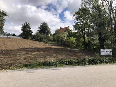 Grundstück kaufen in 7000 Eisenstadt