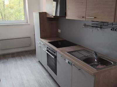 Wohnung mieten in 3860 Heidenreichstein (Bild 1)