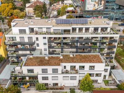 Terrassenwohnung kaufen in 1220 Wien (Bild 2)