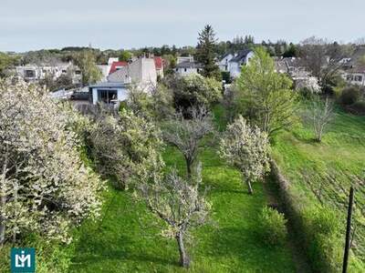 Grundstück kaufen in 2380 Perchtoldsdorf