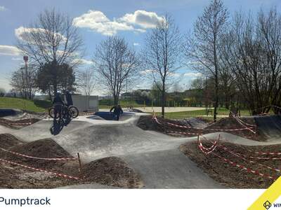 Haus mit Garten kaufen in 4320 Perg (Bild 4)