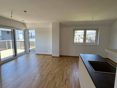Wohnung mieten in 2102 Bisamberg