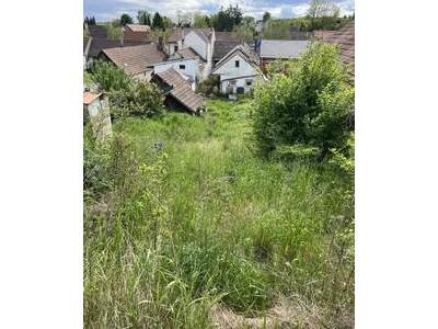 Haus kaufen in 2123 Wolfpassing