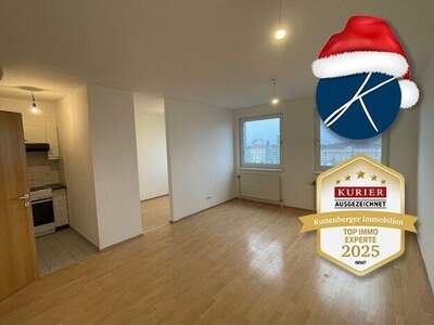 Anlageobjekt kaufen in 1100 Wien (Bild 1)