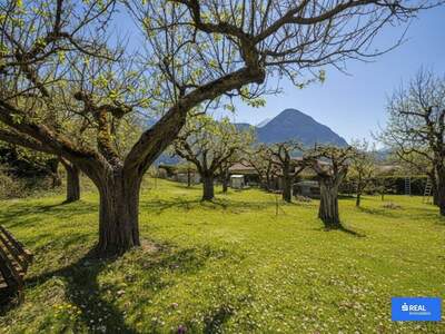 Grundstück kaufen in 9991 Dölsach