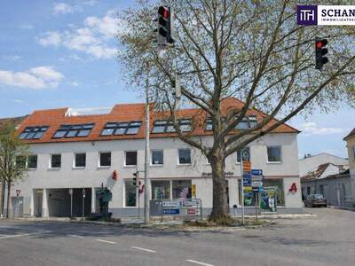 Terrassenwohnung kaufen in 2514 Traiskirchen