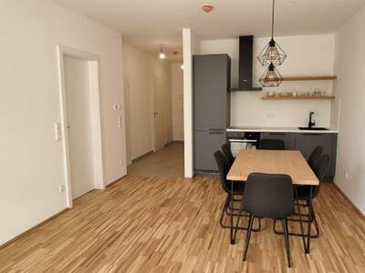 Eigentumswohnung in 4284 Tragwein (Bild 1)