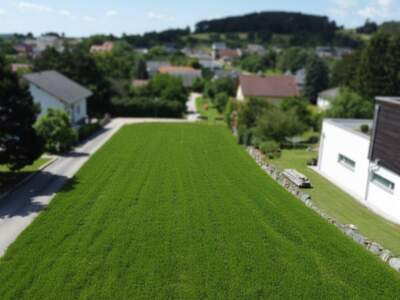 Grundstück kaufen in 2753 Dreistetten