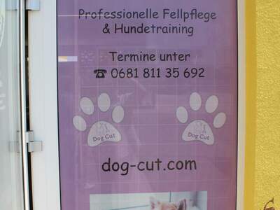 Einzelhandel mieten in 2401 Fischamend (Bild 4)