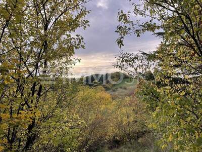 Grundstück kaufen in 2103 Langenzersdorf (Bild 2)