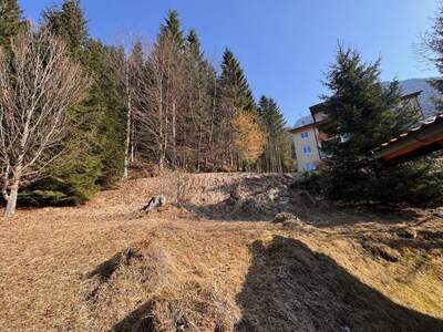 Grundstück kaufen in 6212 Maurach (Bild 4)