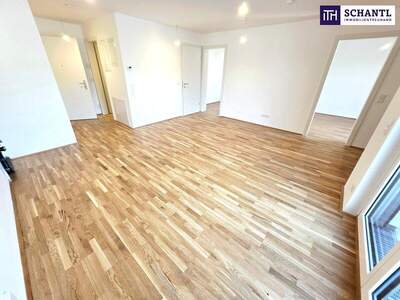 Terrassenwohnung kaufen in 1220 Wien (Bild 2)