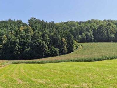 Gewerbeobjekt kaufen in 4084 St. Agatha