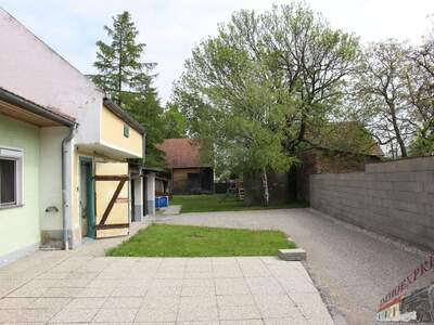 Einfamilienhaus kaufen in 2305 Eckartsau (Bild 1)