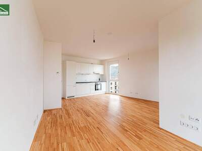 Wohnung mieten in 8020 Graz