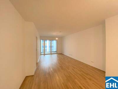 Terrassenwohnung mieten in 1030 Wien (Bild 1)