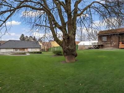 Grundstück kaufen in 2014 Breitenwaida (Bild 2)