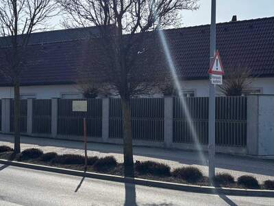 House provisionsfrei kaufen in 7161 Burgenland