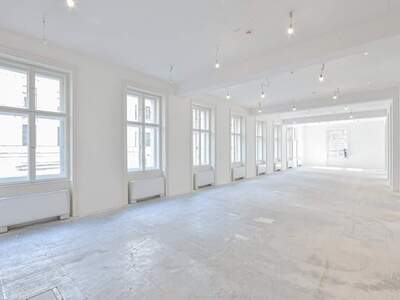 Gewerbeobjekt mieten in 1010 Wien