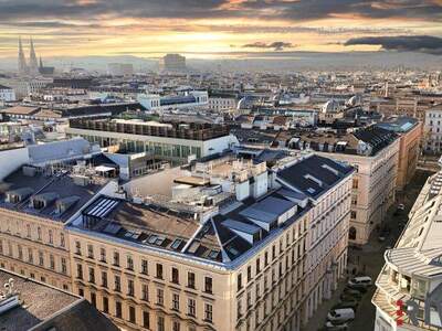 Terrassenwohnung kaufen in 1010 Wien (Bild 3)