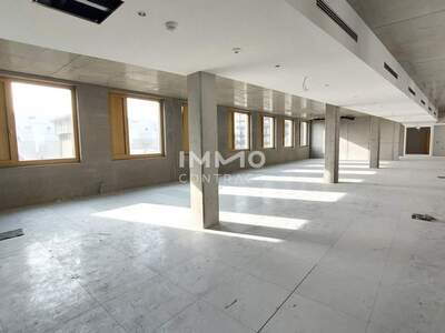 Gewerbeobjekt mieten in 1230 Wien