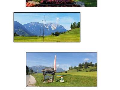 Mehrfamilienhaus kaufen in 2734 Puchberg (Bild 3)