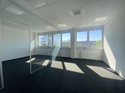 Gewerbeobjekt mieten in 1230 Wien (Bild 1)