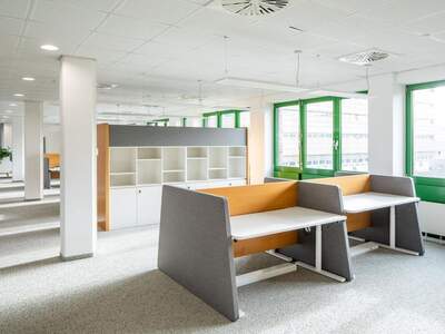 Gewerbeobjekt mieten in 1220 Wien (Bild 5)