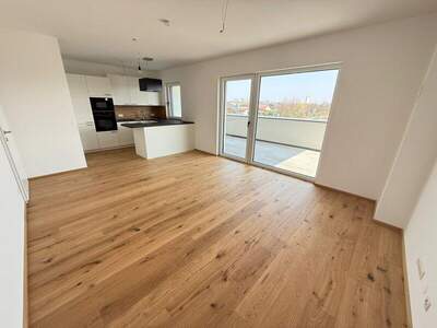 Terrassenwohnung mieten in 2460 Bruck an der Leitha (Bild 2)