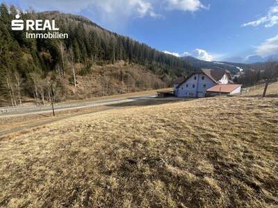 Grundstück kaufen in 8813 St. Lambrecht (Bild 5)