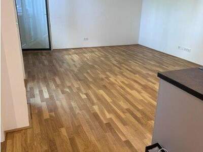 Terrassenwohnung mieten in 1220 Wien (Bild 4)