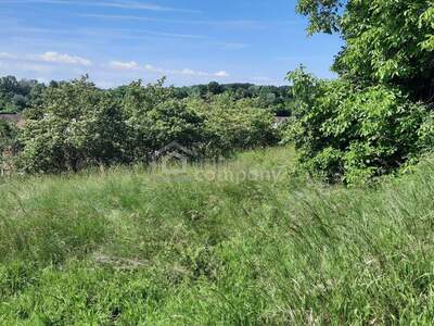 Grundstück kaufen in 3454 Thallern