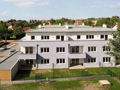 Apartment provisionsfrei mieten in 2020 Niederösterreich