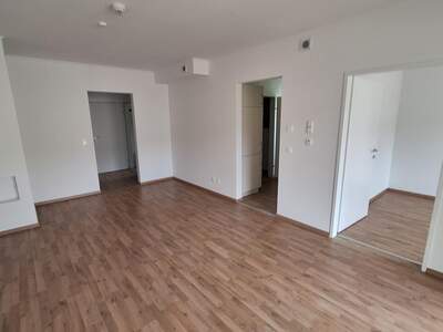 Terrassenwohnung mieten in 2870 Aspangberg (Bild 3)