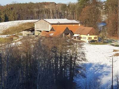 Gewerbeobjekt kaufen in 8082 Kirchbach (Bild 3)