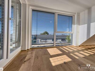 Apartment provisionsfrei mieten in 1220 Wien