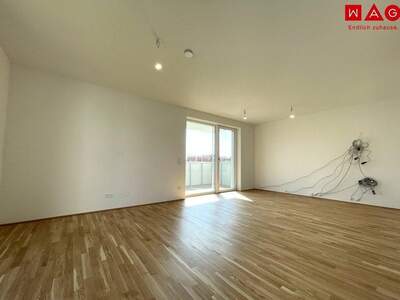 Terrassenwohnung kaufen in 4060 Leonding (Bild 4)