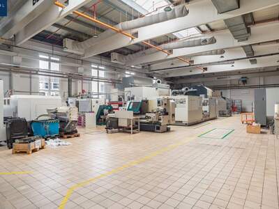 Gewerbeobjekt mieten in 3830 Waidhofen (Bild 1)