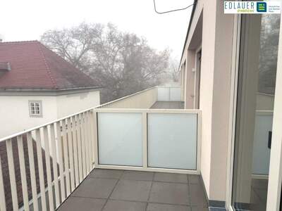 Terrassenwohnung mieten in 2483 Ebreichsdorf (Bild 4)